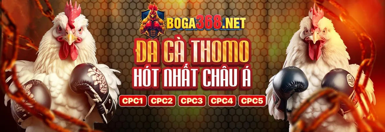 Hình ảnh chính Blog xi88 nhà cái