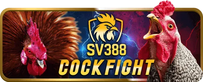 Chính sách Cookie của XI88 nhà cái